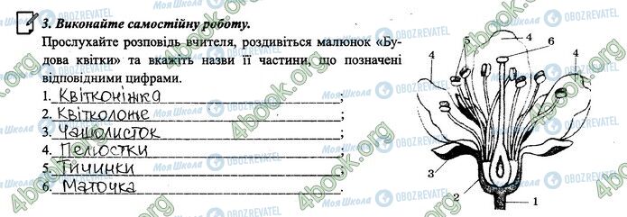 ГДЗ Биология 6 класс страница 37.3